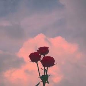 Meet your Posher, Lucy